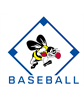 Bath youth  baseball club
